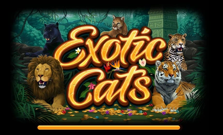 https://playfortuna2021.click/wp-content/uploads/2018/08/exotic-cats-150x150.jpg